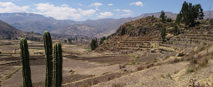 Cañón del Colca, Perú