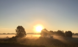 Altweibersommer