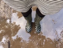 Regenpfütze Regenpfütze