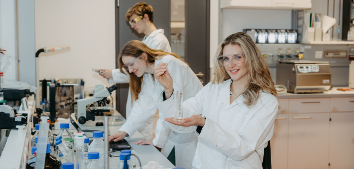 curso segundo de Seda