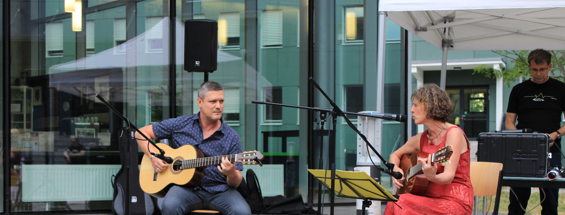 Guitarra y cante